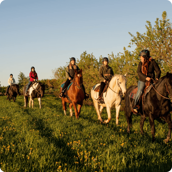 Écurie du Pont D'or