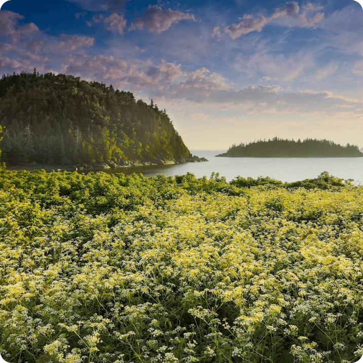 Parc National du Bic
