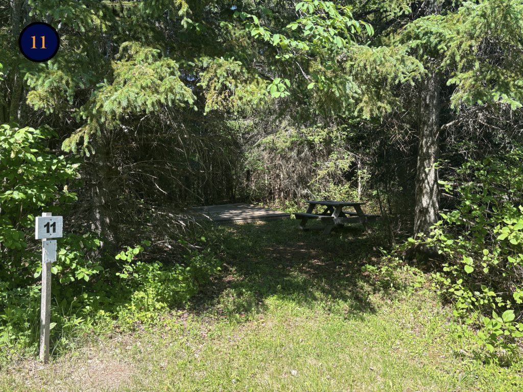 11