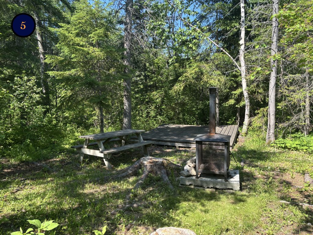 5.1