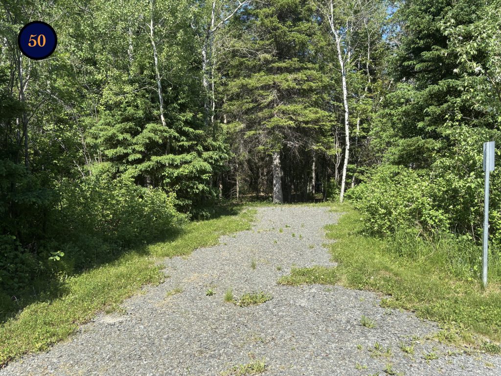 50