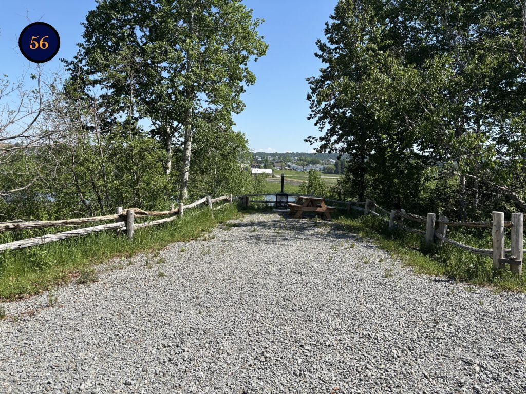56