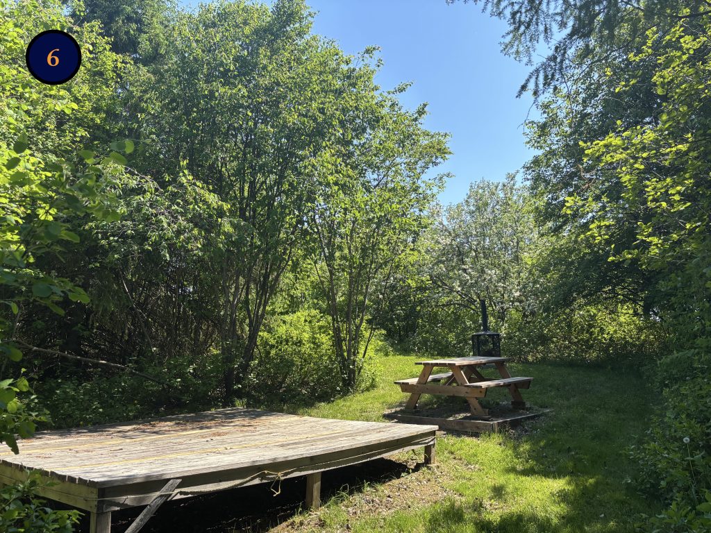 6.1