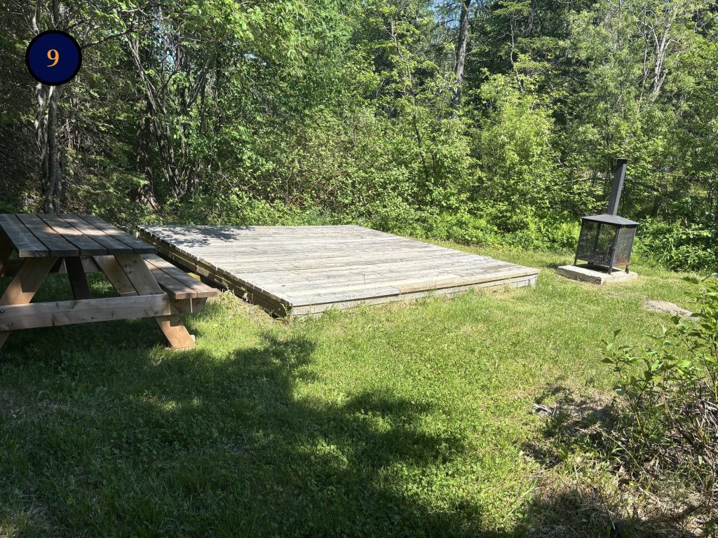 9.1